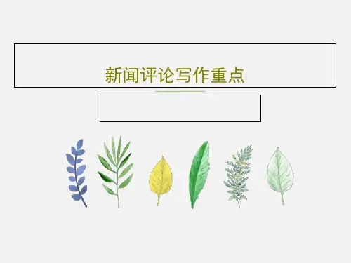 新闻评论写作重点33页文档