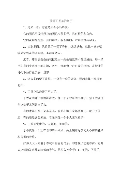 描写丁香花的句子