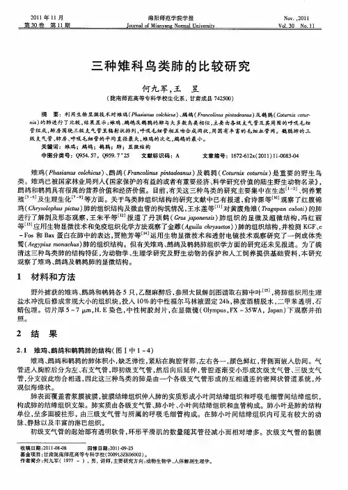 三种雉科鸟类肺的比较研究