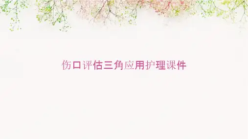 伤口评估三角应用护理课件
