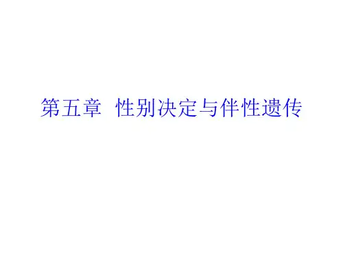 第五章  性别决定与伴性遗传