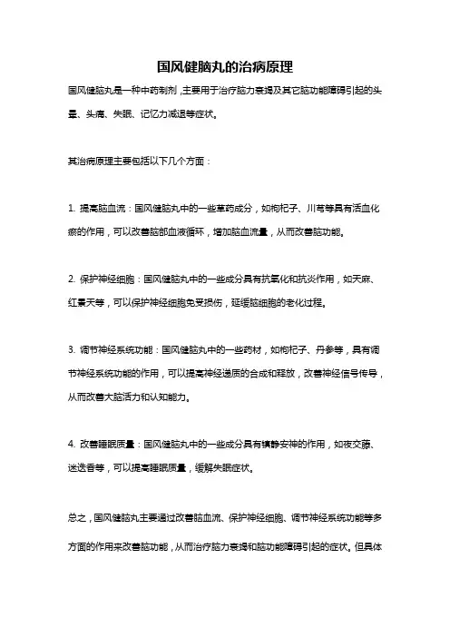 国风健脑丸的治病原理