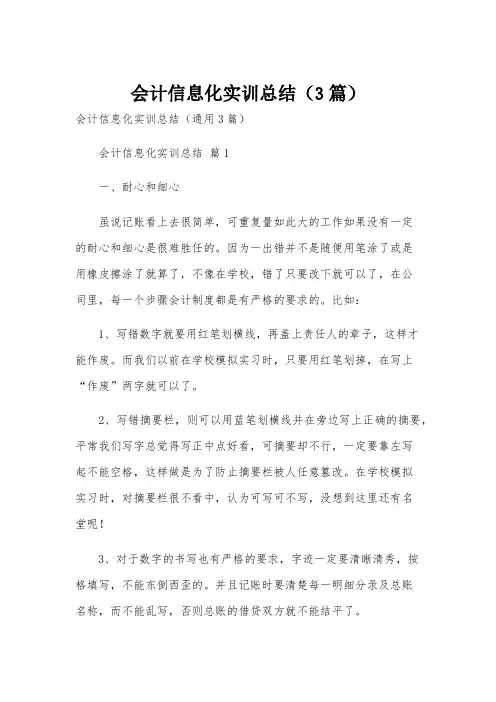 会计信息化实训总结(3篇)