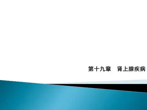 肾上腺疾病的超声诊断