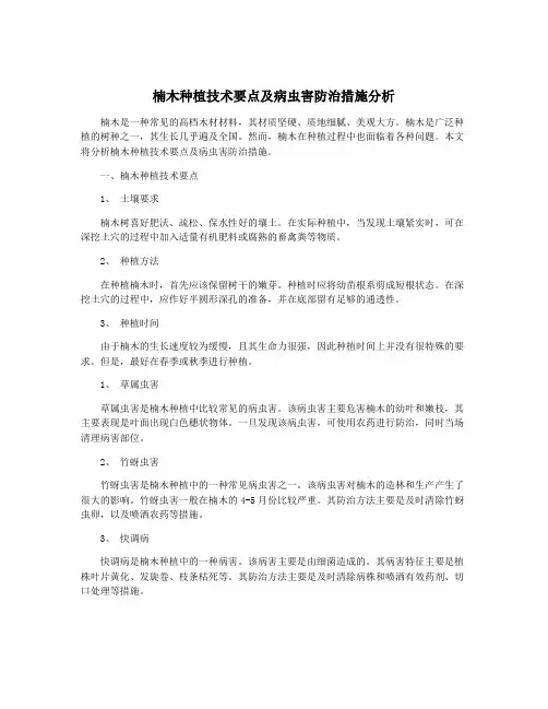楠木种植技术要点及病虫害防治措施分析
