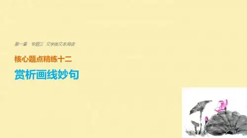 浙江专用高考语文二轮复习考前三个月第一章核心题点精练专题三文学类文本阅读精练十二赏析画线妙句课件
