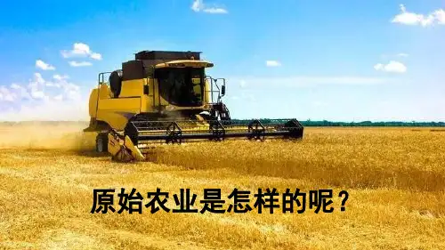 2024年新教材七年级历史上册教学课件：第一单元第2课 原始农业与史前社会