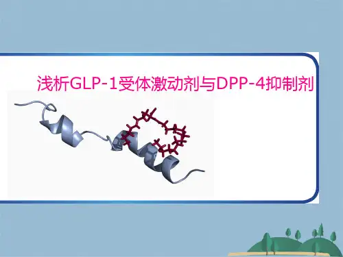 GLP受体激动剂与DPP抑制剂幻灯(共38张PPT)