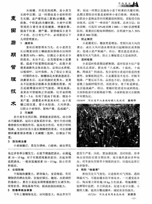 麦田后期管理技术