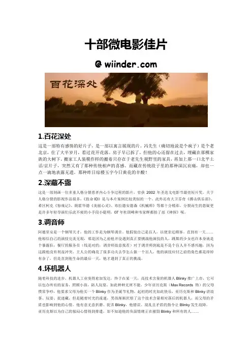 十部微电影佳片