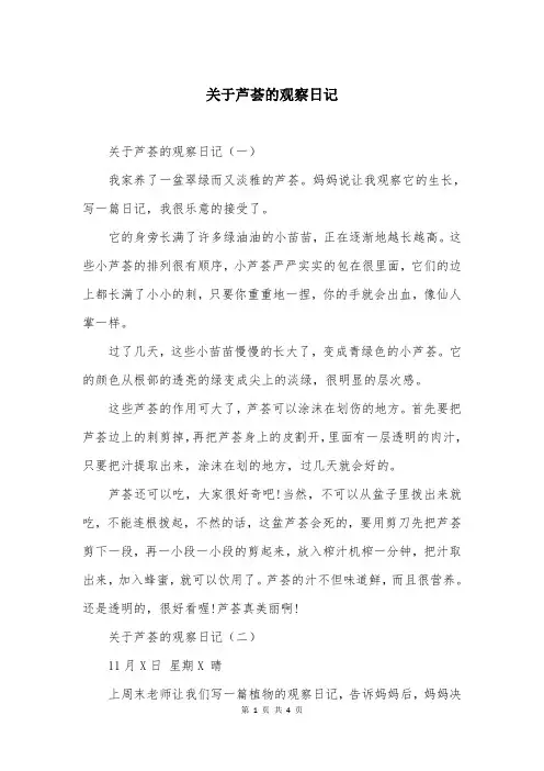 关于芦荟的观察日记