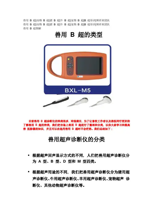 兽用B超图解(2)
