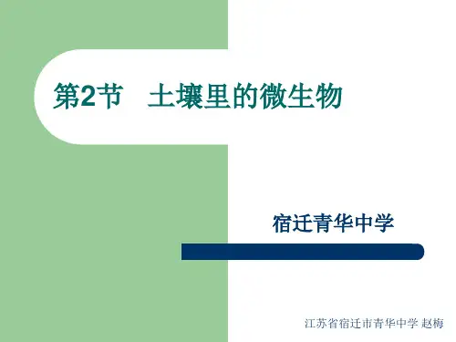 七年级下第13章第2节土壤里的微生物资料
