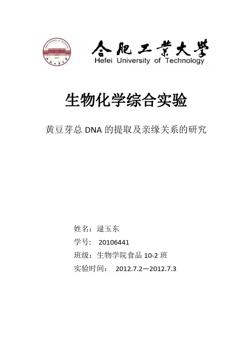 合肥工业大学   生化综合实验报告