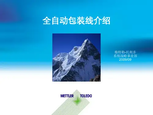 托利多全自动包装线大全