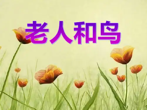 冀教版四年级语文下册《老人和鸟》PPT课件(5篇)