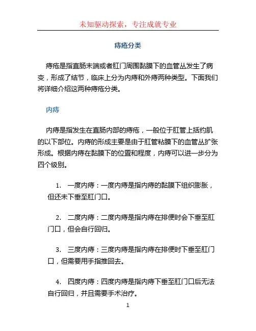 痔疮分类文档