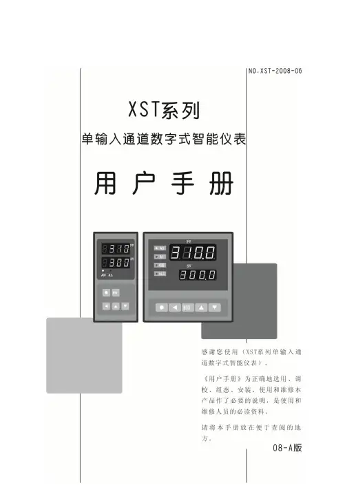 XST 使用说明说