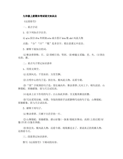 九年级语文单元知识点