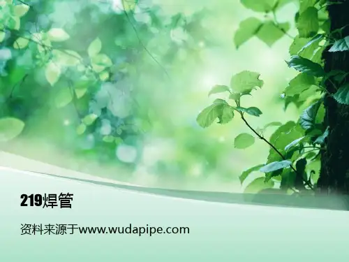219焊管