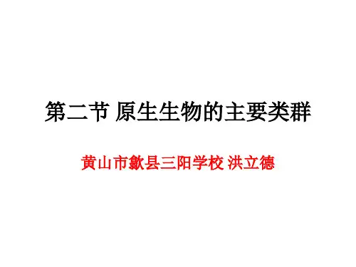 原生生物的主要类群