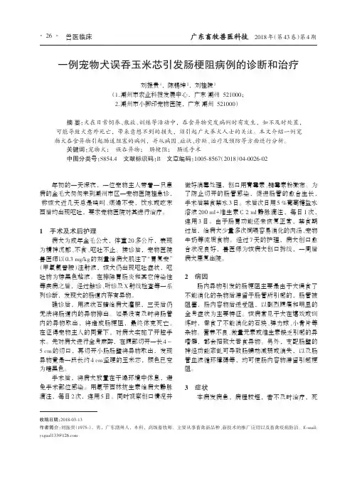 一例宠物犬误吞玉米芯引发肠梗阻病例的诊断和治疗