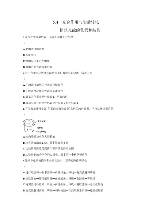 2020年高中生物新人教版(2019)必修第1册 5.4 光合作用与能量转化 第1课时同步练含答案