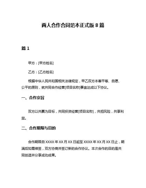 两人合作合同范本正式版8篇