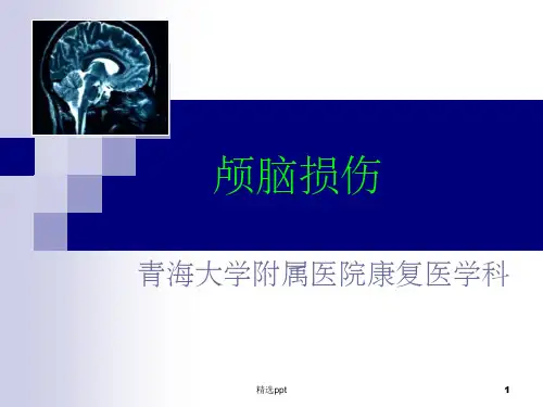颅脑损伤ppt课件