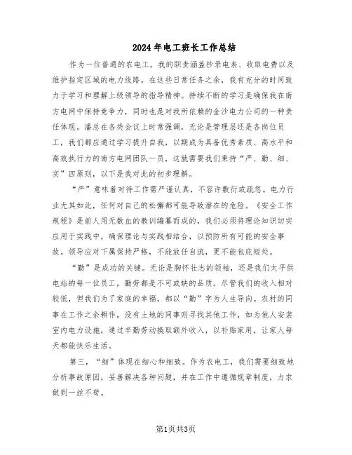 2024年电工班长工作总结（二篇）