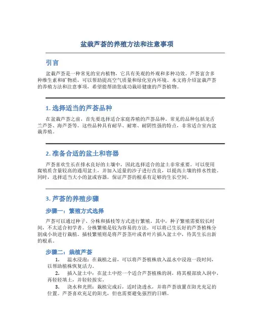 盆栽芦荟的养殖方法和注意事项