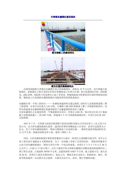 天津港东疆港区建设现状