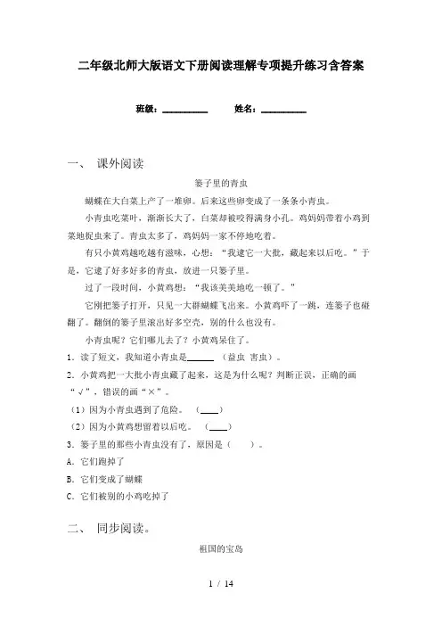 二年级北师大版语文下册阅读理解专项提升练习含答案