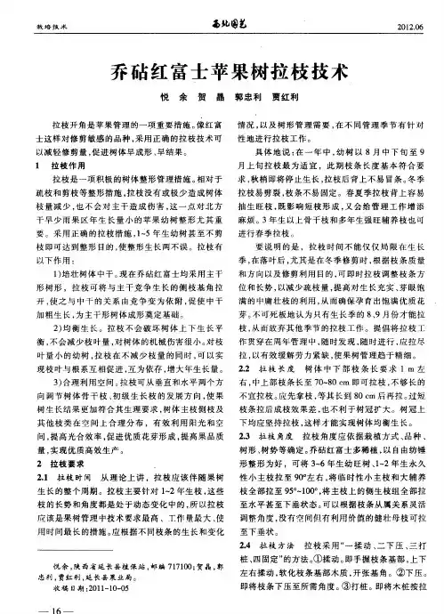 乔砧红富士苹果树拉枝技术