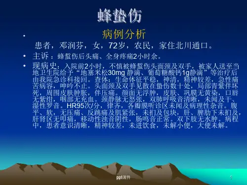 蜂蛰伤  ppt课件