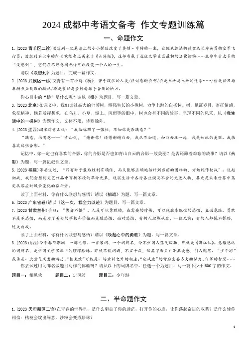 2024成都中考语文备考 作文专题训练篇