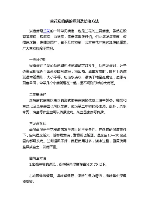 兰花炭疽病的识别及防治方法