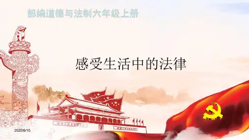 道德与法治部编版六年级上册第1课 感受生活中的法律