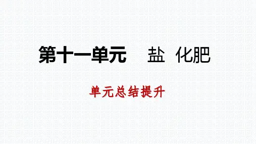 人教版九年级化学下册第十一单元 盐 化肥 复习课件(共49张PPT)
