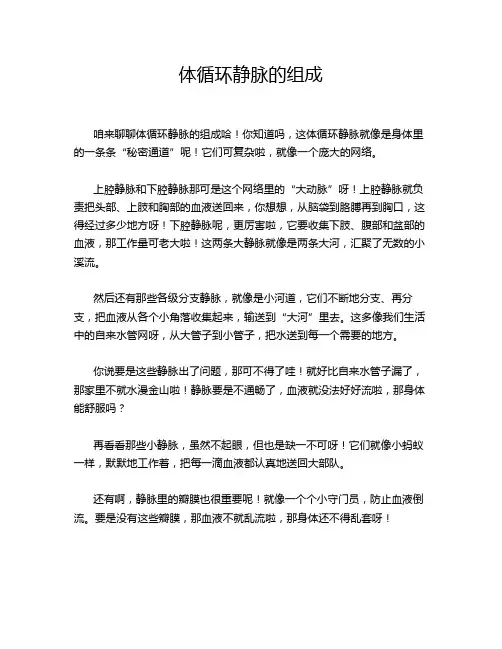 体循环静脉的组成