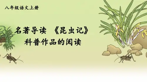 统编版八年级语文上册名著导读 《昆虫记》 科普作品的阅读