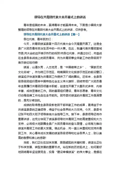 领导在共青团代表大会开幕式上的讲话大全