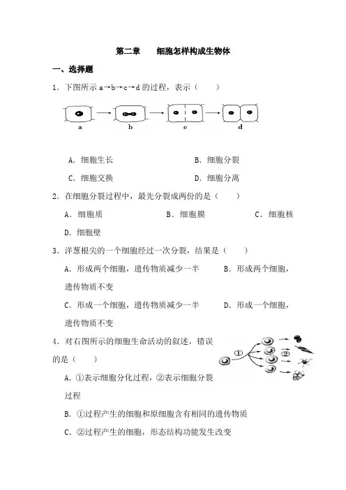 人教版生物七年级上册第二单元第二章检测卷附答案