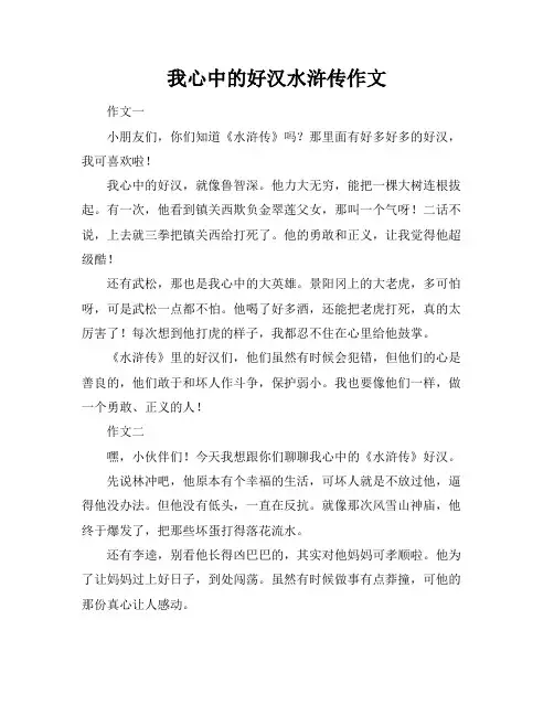 我心中的好汉水浒传作文