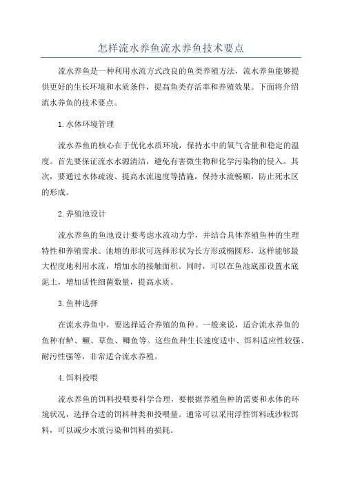 怎样流水养鱼流水养鱼技术要点
