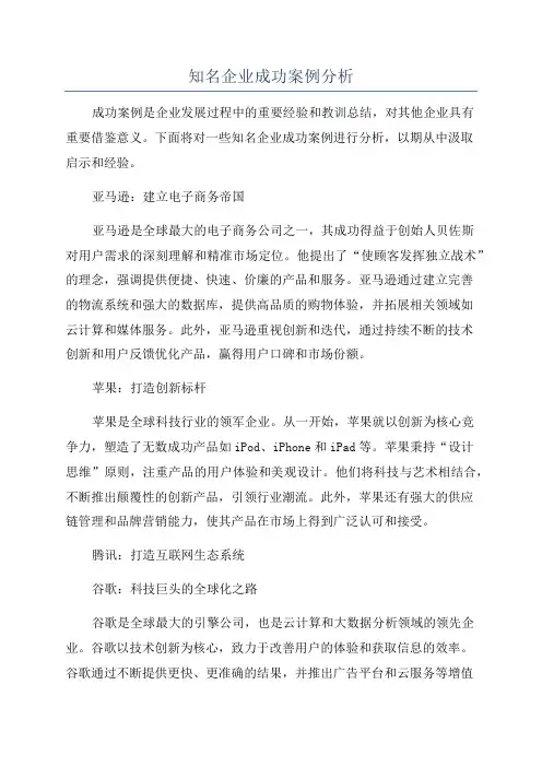 知名企业成功案例分析
