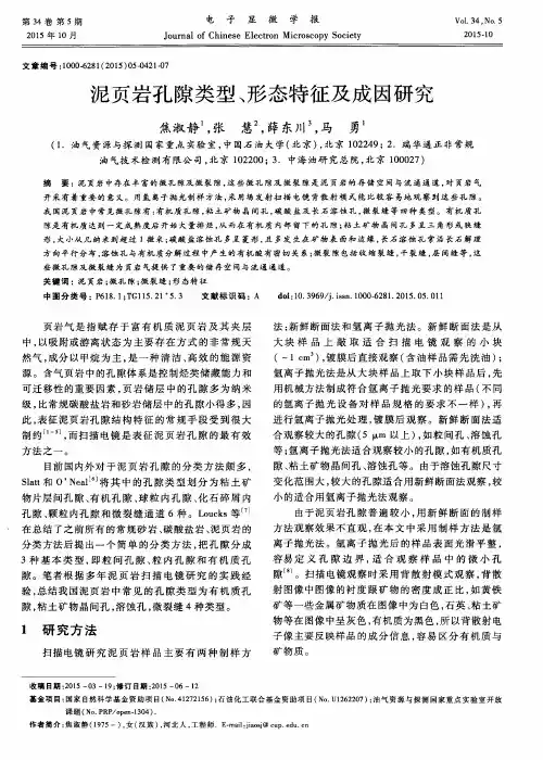 泥页岩孔隙类型、形态特征及成因研究