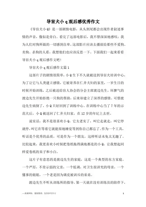 导盲犬小q观后感优秀作文