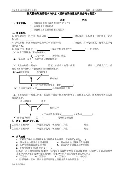 探究植物细胞的吸水与失水
