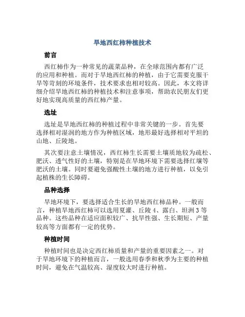 旱地西红柿种植技术